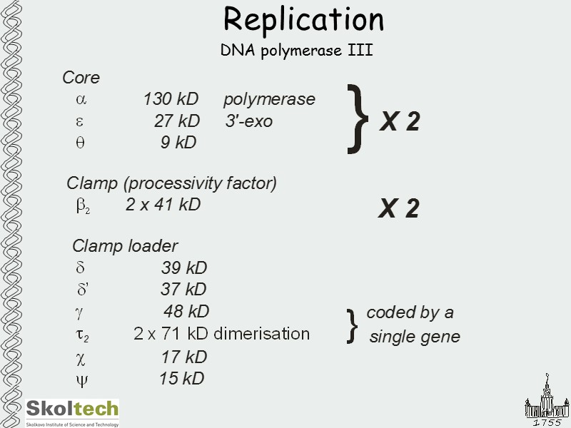 Replication DNA polymerase III